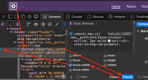 Screenshot of the Safari Web Inspector, showing focus-visible forced on an element, the steps are listed below